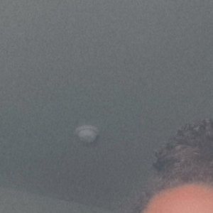 Meet your Posher, Kendall